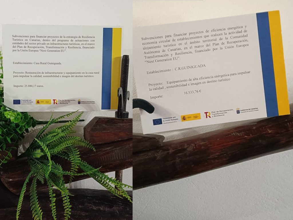 Casa Guiniguada Salon y Subvenciones